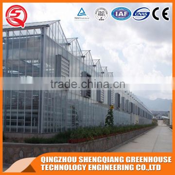 Multi-span aluminum profile glass greenhouse control system for sale