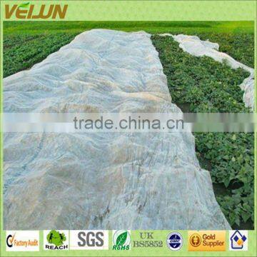 Agriculture products--Vegetable garden covers/tunnel--Biodegradable fabrics(WJ-AL-0076)