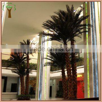 pinnation palm tree of team for indoor display decoration