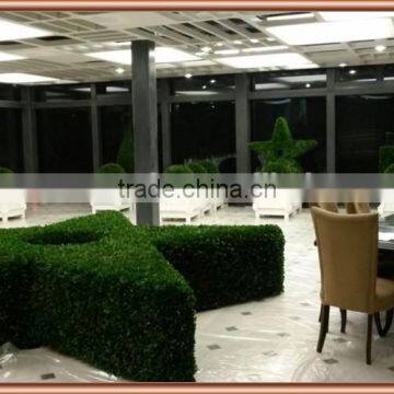 Big pentagram boxwood topiary preserved for indoor decoration