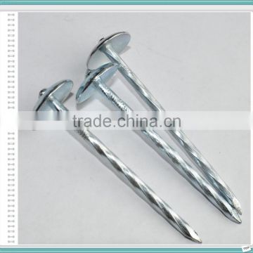 E.G. umbrella head roofing nails with low price from china