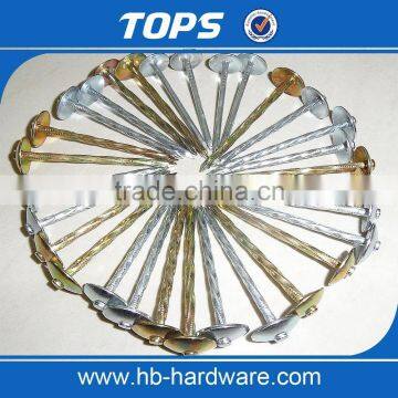 Galvanized Umbrella Head Roofing Nails With Best Price photo-3