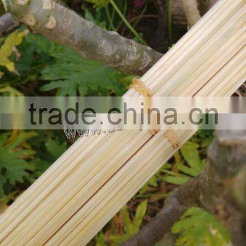 bamboo sticks for plant and flower