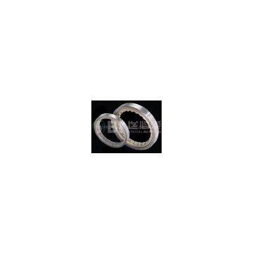 Cylindrical Roller Bearing For Vibratory Applications