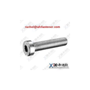 hex socket head allen bolt 316Ti