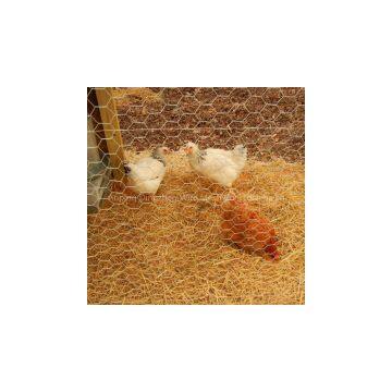 Chicken PVC Coated Hexogonal Green Wire Netting China supplier
