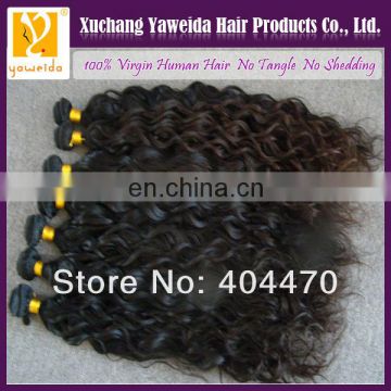 2014 Alibaba China most fashionable remy raw unprocessed curl brazilian hair