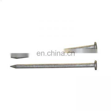 Electro Galvanized Iron Nails and Steel Nails