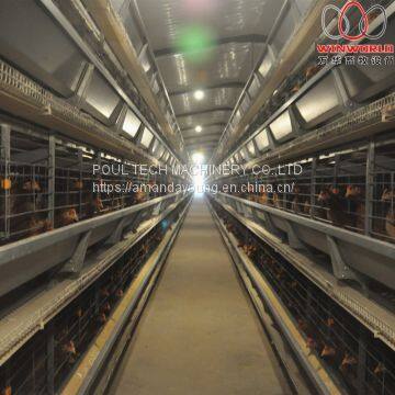 Battery Layer Cages & Poultry Cage & Small Layer Cage Used in Brooding Room