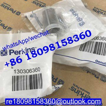 130306360 10000-06412 Perkins Fuel Filter for engine 403/404/400  /FG Wilson generator parts