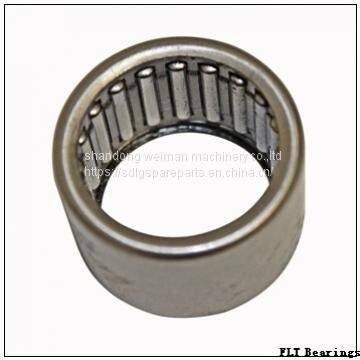 FLT Bearings