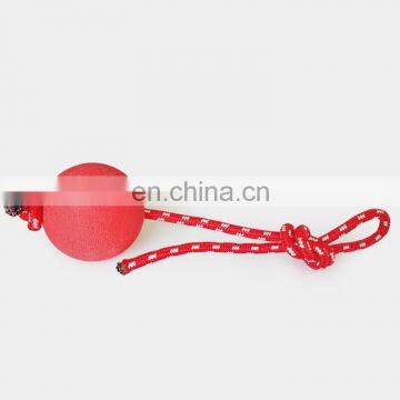 Dog Training High Elasticity Tpr Rope Dog Bites Solid Bouncy Ball Dogs photo-4