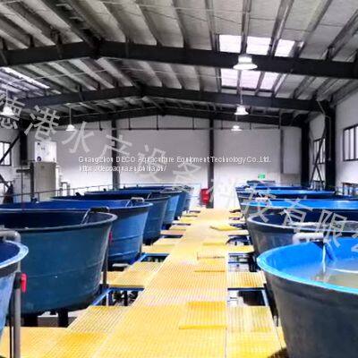 DECO RAS Recirculating Aquaculture System for Indoor Fish Farm photo-5