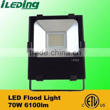 Hot Sale 70W 6100lm 4000K 5000K Replace Metal Halide Flood Light