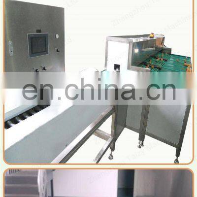 Industrial Egg Sorting Machine Candling Grader photo-3