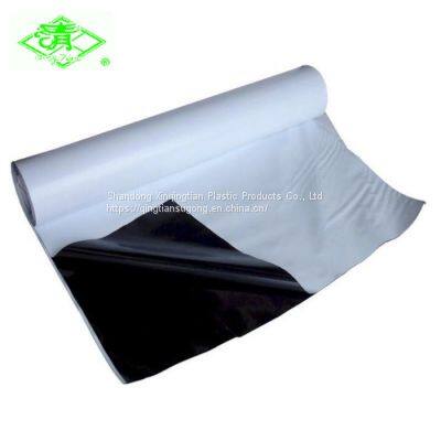 Quality Panda Film Black and White Plastic Mulch Film photo-5