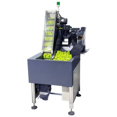 Particle packaging machine counting packaging machine