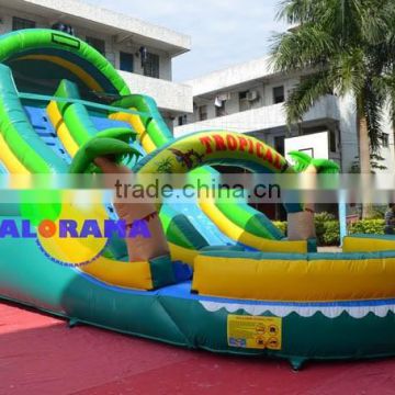 tropical inflatable slide