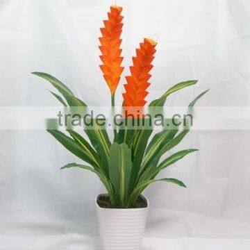 HIgh Simulation Ginger Flower Tropical Plants Artificial Plants Screen photo-2