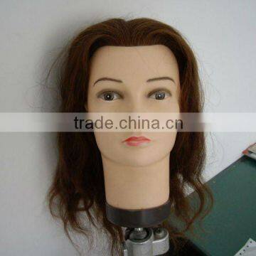 Hot sell! with 100% human hair training head