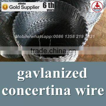 china anping factory concertina wire fence with lower price