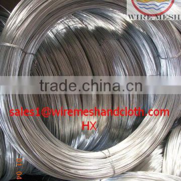 electric galvanized iron wire/galvanized wire