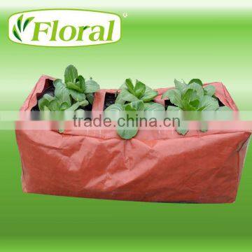 garden plant pots