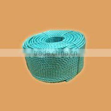 PP Danline Rope