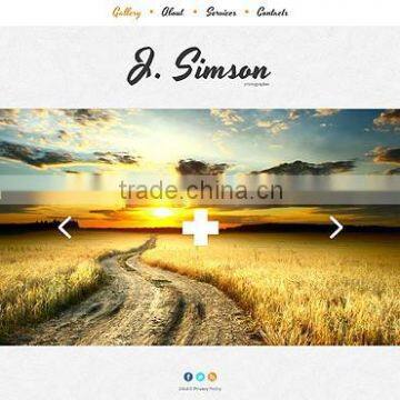 Family Photographers photo-6