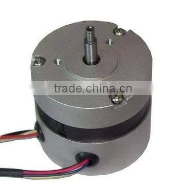 High speed brushless dc motor