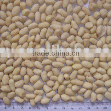 round groundnut