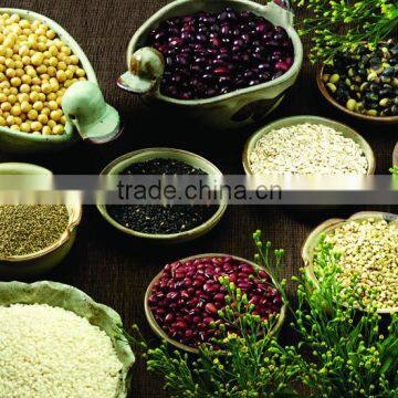 Ground Coffee Packing Machine,1-1000g Quantitative Intelligent Powder Package Machine photo-5