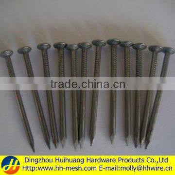 Hot dipped galvanized common nails-Polished or galvanized -1"-6"-Huihuang factory