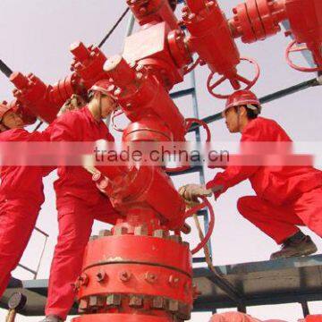 API 6A Wellhead Christmas Tree X-max Tree Casing Head photo-5