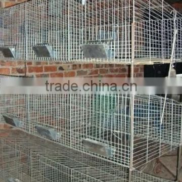 Wholesale Low carbon steel galvanized welded rabbit cage wire mesh