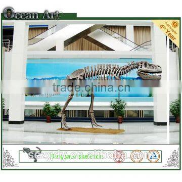 Science Museum Large Dinosaur Skeleton Replica for Sale