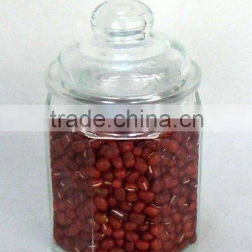 TW697G Glass Spice Jar With Glass Lid