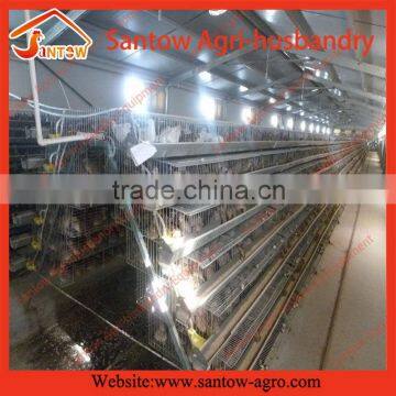 Super quality best selling auto water system layer quail cage