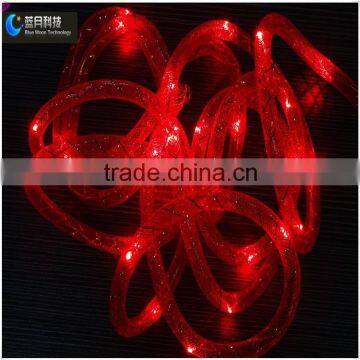 Factory Price Battery Operated Christmas Rope Tube Lights photo-5