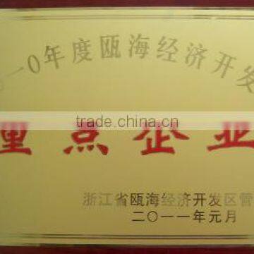 Key Enterprise of Wenzhou City O'hai Area