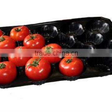 New Container PP Fruit Tray