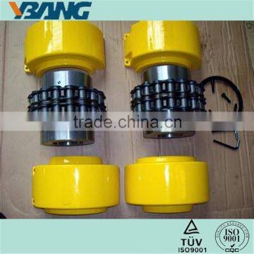 Flexible Roller Chain Coupling