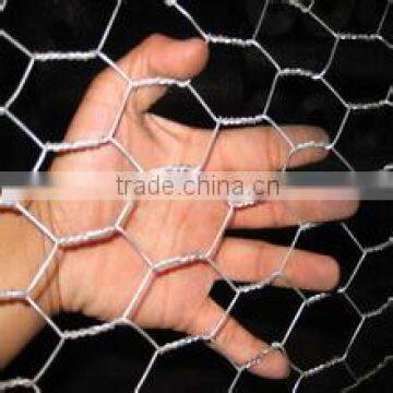 Galvanized Chicken wire mesh/Hexagonal wire netting