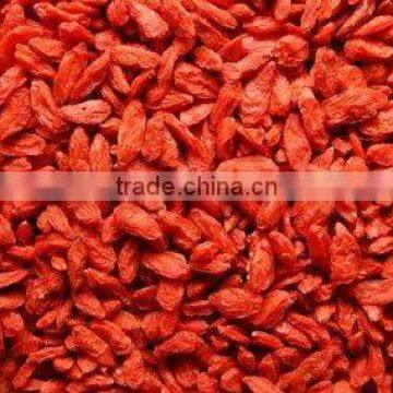 yummy goji berry