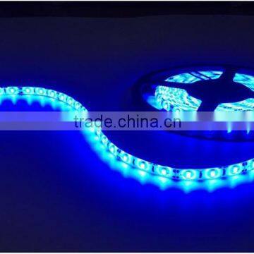 Hot Sale Double Row 30Watt DC24V 120Leds/M SMD 5630 Led Strip photo-4
