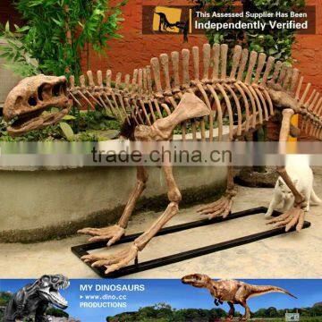MY Dino-C062 Artificial Metal Skeleton on Sale photo-3