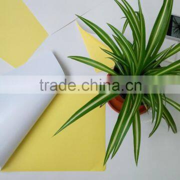 Self adhesive semi gloss coated paper with yellow liner