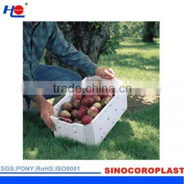 Food Grade Plastic Coroplast Fruit Box