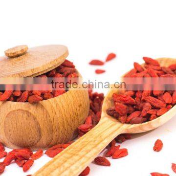 Ningxia Small Red Fruit /goji Berry in Bulk