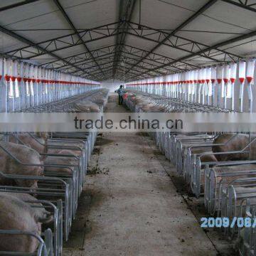 2013 Hot Sale Automatic Pig Feeding System